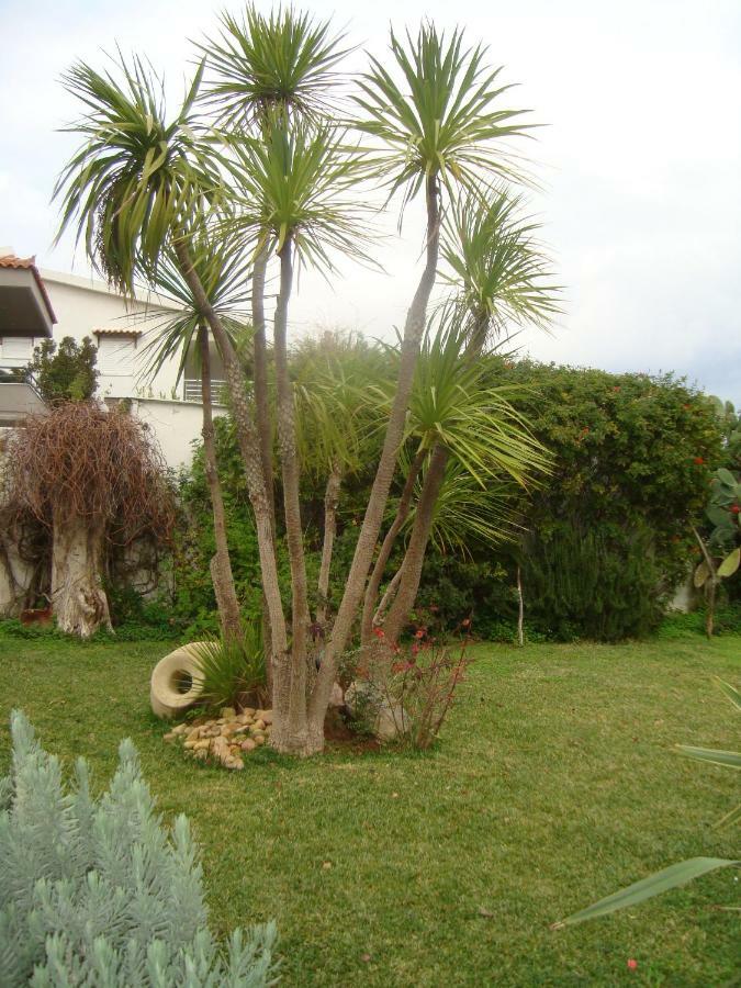 Ferienwohnung La Casa A Mare Artemida  Exterior foto